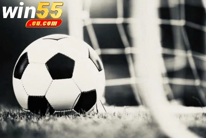 Bí Kíp Đặt Cược Hiệu Quả Từ Cao Thủ Win55